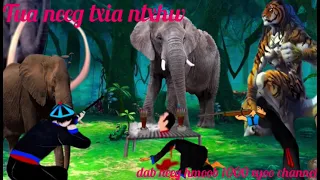 dab neeg 6 leej txiv tub tua twj kum tua ntxhw muab neeg tua txi dab txaus ntshai heev