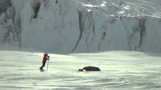 Antarctica Weather & Weddell Seal Research