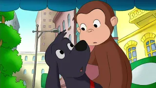 Georges le Petit Singe 🐵 Beignets 🐵Saison 1  🐵 Dessins Animés