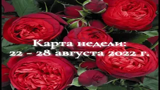 ТАРО ПРОГНОЗ НА НЕДЕЛЮ с 22 - 28.08.2022 г. |  ГОРОСКОП НА НЕДЕЛЮ | ТАРО ПРОГНОЗ