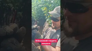 Військові люблять тварин #ukraine #зсу