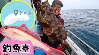 搭船去釣魚臺 跟 日本海域釣魚！一隻比一隻稀有珍貴-深海怪鳥、石斑、大白龍