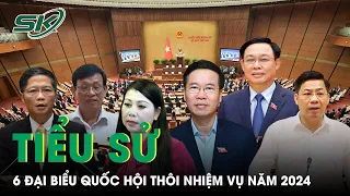 Tiểu Sử 6 Đại Biểu Quốc Hội Thôi Nhiệm Vụ Trong Năm 2024 | SKĐS