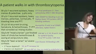 Emma Holliday Heme/Oncology W/ Her Slides |IM|HighYield USMLE Step Shelf Exam|PP Download Link Below