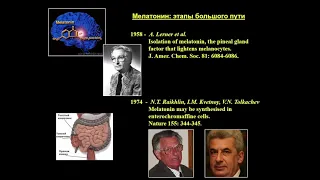 Мелатонин и рак: заключительное слово (Анисимов В.Н.)