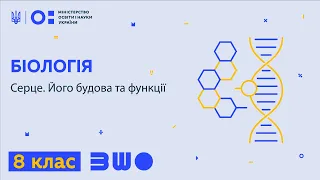 8 клас. Біологія. Серце. Його будова та функції