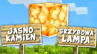 Tylko 1% WIDZÓW zna ODPOWIEDŹ na to pytanie o MINECRAFT! *niemożliwe*