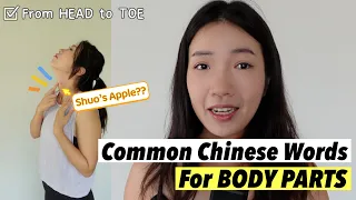 From HEAD to TOE: Common words for parts of the body in Chinese