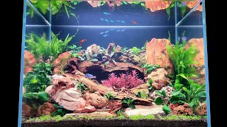 Creating the Abyss (Diorama Style Aquascape)