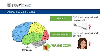 CeRiN AllenaMente | Esercizi di percezione visuo-spaziale