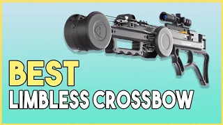 LIMBLESS CROSSBOW - The 2,000 $ "Lancehead F1" Review