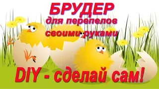 Брудер для перепелов своими руками. DIY, Do It Yourself