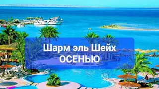 Шарм эль Шейх Египет осенью, Лучшие отели 5 звезд на первой линии, стоит ехать или нет