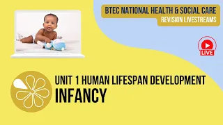 Infancy | Live Revision for HSC Unit 1 Human Lifespan Development