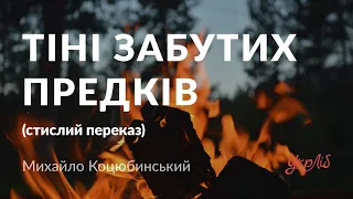 Михайло Коцюбинській — Тіні забутих предків (стислий переказ, аудіокнига)