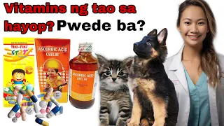 Panganib ng Human Vitamins sa Pets