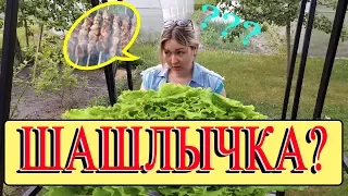 ШАШЛЫЧКА? прикол юмор Ирен Б