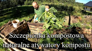 Szczepionka kompostowa. Naturalne aktywatory kompostu - Kompost 4