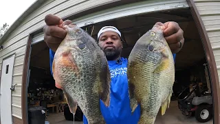 SHOCKING SIZE SHELLCRACKERS & BLUEGILLS "CLEAN & COOK"