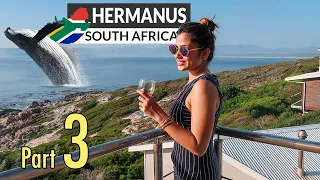 Encountering Giants: Whale Watching in Hermanus, South Africa | A Spectacular Coastal Adventure!