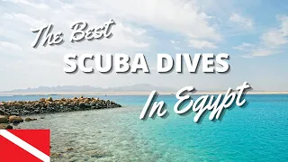 Best Scuba Diving Spots in Egypt and the Red Sea in *2022*