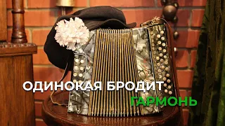 Одинокая бродит гармонь #recommended #music