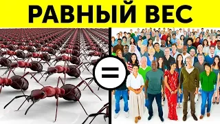 65 быстрых фактов, которые сделают вас самым интересным человеком на вечеринке