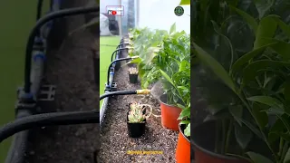 Simple and Best Garden Irrigation System #gardening