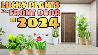 10 LUCKY PLANTS FOR FRONT DOOR IN 2024 | Swerteng halaman sa pintuan para sa pera at success sa 2024