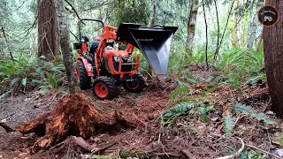 Cutting a trail in the woods. Stump Bucket (Part 1) | Kubota B2601 & Titan Attachments Stump Bucket