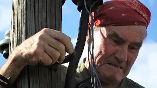 To rescue the storks that returned to the farm after several years