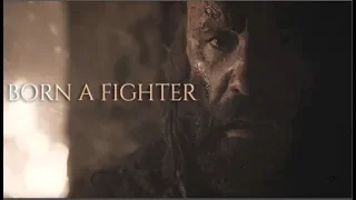 (GoT) Sandor Clegane || Born A Fighter