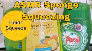 ASMR Sponge Squeezing - Wilko Cleaners, Daz + Dish Soap