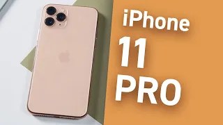 Что в iPhone 11 PROфессионального? Обзор iPhone 11 Pro