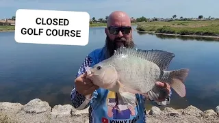 Fishing a "CLOSED" Golf Course. JACK HAMMER Best Chatterbait!! #fishing #bassfishing #bass #nature