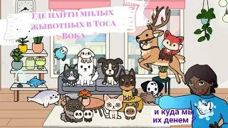 •Δ😯Где найти милых животных для сериалов ? | Toca Life World | Toca Boca Δ•