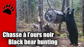 Magnifique chasse à l'ours à la carabine 2021 epic bear hunting rifle - Jean-Luc Michaud 2021