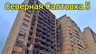 Северная Салтовка 5