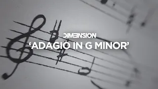 DIM3NSION - Adagio In G Minor [Coldharbour]