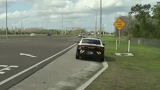 FHP data shows who is getting pulled over