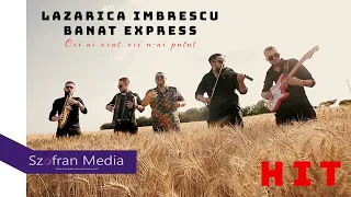 Lazarica Imbrescu - Banat Express - Ori n-ai vrut, ori n-ai putut HIT