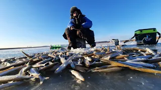 р.Петровка Приморский край ,открытие зимнего сезона по ловле корюшки.30.11.23.