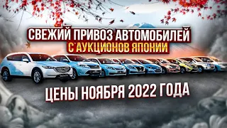 СВЕЖИЙ ПРИВОЗ АВТОМОБИЛЕЙ С АУКЦИОНОВ ЯПОНИИ | ЦЕНЫ НОЯБРЯ 2022 | JAPAUTOBUY