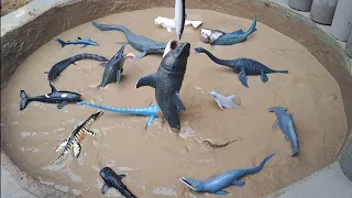 Dinossauros de Plástico Presos na Lama Animais Marinhos Presos na Lama Peixe Tubarão Kronossauro