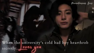 when the cold bad boy heartthrob secretly loves you| jungkook oneshot |