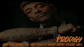 Prodigy - You Can Never Feel My Pain(DJ Suave Never Change Mix)