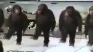 Happy Birthday Monkey Funny Video‬ YouTube С Днем Рождения обезьяны  смешные видео YouTube  Самое ин
