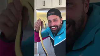 Fake Snake Prank Compilation 🐍