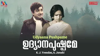 Udhyana Pushpame | ഉദ്യാനപുഷ്പമേ |  old Malayalam Film Song |  Prem Nazir old songs |  KJ Yesudas