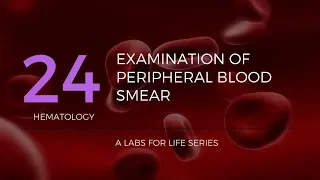 Part 2 - Examination of Peripheral Blood Smear